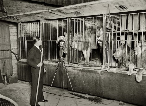 1936. Actuació del domador W. Rosard i els seus lleons. Fons Brangulí /Arxiu Nacional de Catalunya